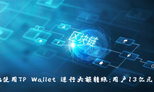 如何安全地使用TP Wallet 进行大额转账：用户13亿元的案例分析