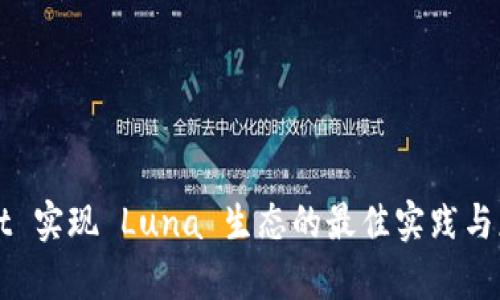 TPWallet 实现 Luna 生态的最佳实践与应用分析