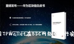 如何使用TPWallet在BSC网络中