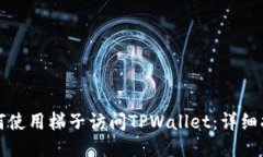 如何使用梯子访问TPWalle