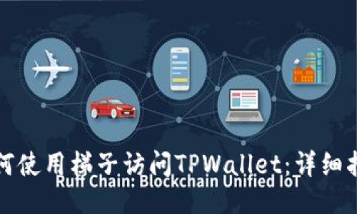 如何使用梯子访问TPWallet：详细指南