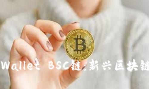 深入了解TPWallet BSC链：新兴区块链技术的未来