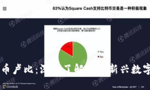 虚拟币卢比：深入了解这一新兴数字货币