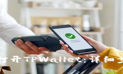 如何在电脑上打开TPWallet：详细步骤与疑难解答