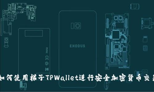 如何使用梯子TPWallet进行安全加密货币交易