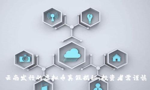 云南发行的虚拟币真假揭秘：投资者需谨慎