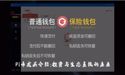 Pi币龙头介绍：投资与生态系统的未来