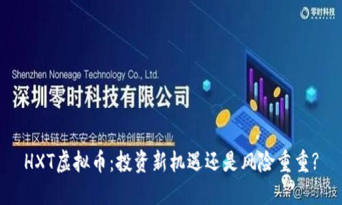 HXT虚拟币：投资新机遇还是风险重重?