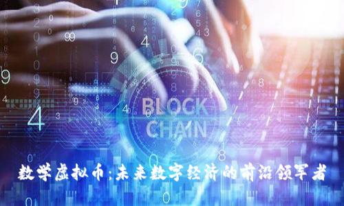 数学虚拟币：未来数字经济的前沿领军者