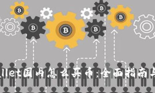 TPWallet国内怎么买币：全面指南与技巧