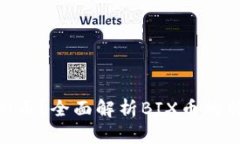 什么是BIX虚拟币？全面解