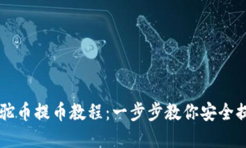 虚拟骆驼币提币教程：一步步教你安全提取资产