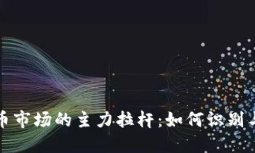 虚拟币市场的主力拉杆：如何识别与应对