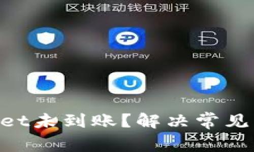 为什么TP Wallet未到账？解决常见问题的全面指南