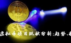 : 2023年虚拟币项目现状分