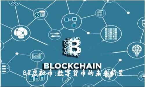 BR虚拟币：数字货币的未来新星