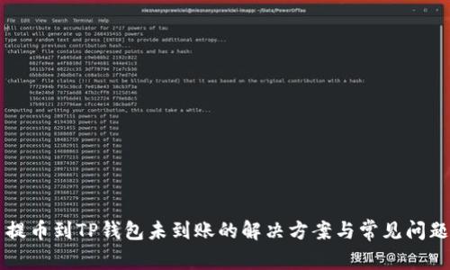货币提币到TP钱包未到账的解决方案与常见问题解析