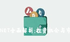虚拟币NET全面解析：投资机会与市场前景