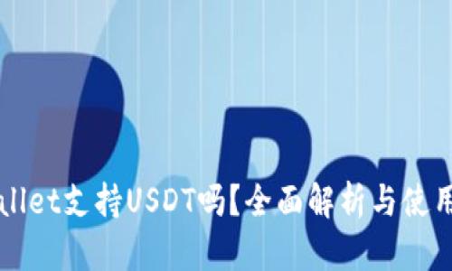 TPWallet支持USDT吗？全面解析与使用指南