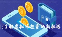 赢币网：了解虚拟币投资的新机遇与风险