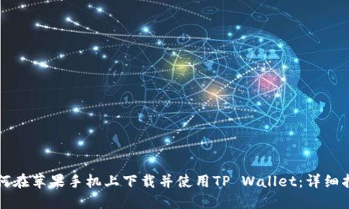 如何在苹果手机上下载并使用TP Wallet：详细指南