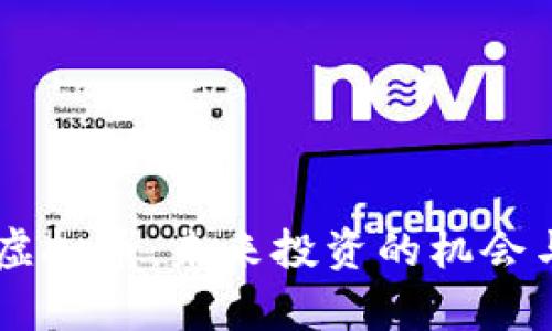 币圈里的虚拟币：未来投资的机会与风险分析