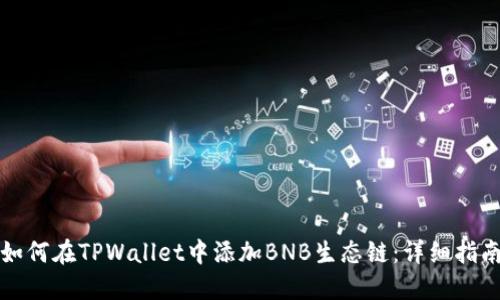 如何在TPWallet中添加BNB生态链：详细指南