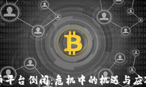 
虚拟币平台倒闭：危机中的机遇与应对策略