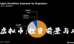 了解BS虚拟币：投资前景与
