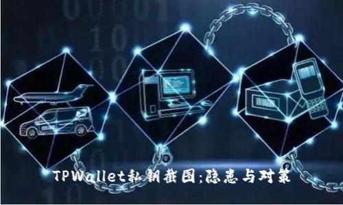 TPWallet私钥截图：隐患与对策