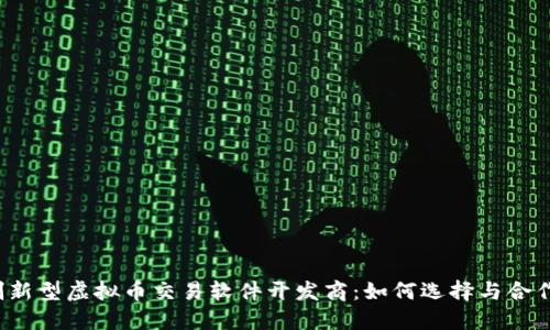 创新型虚拟币交易软件开发商：如何选择与合作?