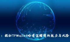 : 揭秘TPWallet哈希值赌博的