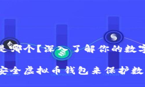 虚拟币的钱包是哪个？深入了解你的数字资产保管选择

选择适合你的安全虚拟币钱包来保护数字资产