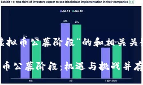 下面是关于“虚拟币公募阶段”的和相关关键词：

深入了解虚拟币公募阶段：机遇与挑战并存的投资新常态