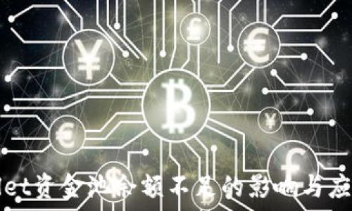   
TPWallet资金池余额不足的影响与应对策略