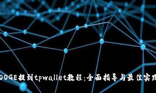 DOGE提到tpwallet教程：全面指导与最佳实践