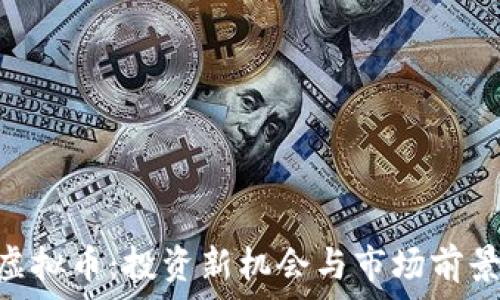   
GOY虚拟币：投资新机会与市场前景分析