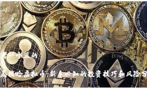 思考一个且的

开局梭哈虚拟币：新手必知的投资技巧和风险分析