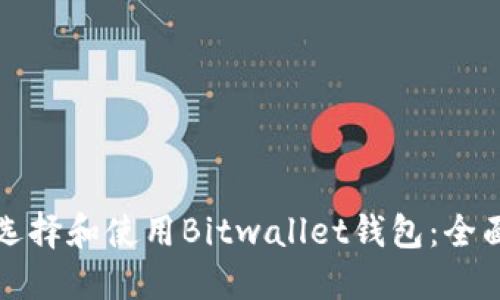如何选择和使用Bitwallet钱包：全面指南