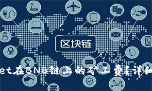 如何计算TPWallet在BNB链上的矿工费？详细解读与实用技巧