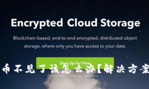 tpwallet中我的币不见了该怎么办？解决方案与常见问题解析