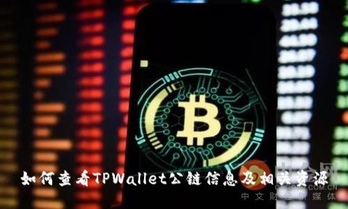 如何查看TPWallet公链信息及相关资源