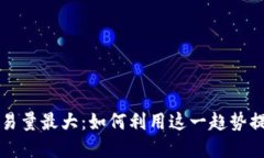 TPWallet最近交易量最大：如