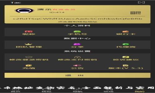 虚拟币地址查询实名：全面解析与实用指南