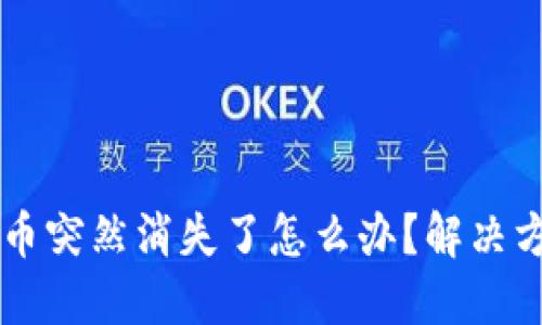 TPWallet里的币突然消失了怎么办？解决方案与用户指南