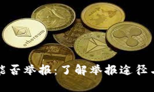 炒虚拟币能否举报：了解举报途径与案例分析