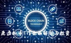 什么是虚拟币TT？全面解析与投资风险